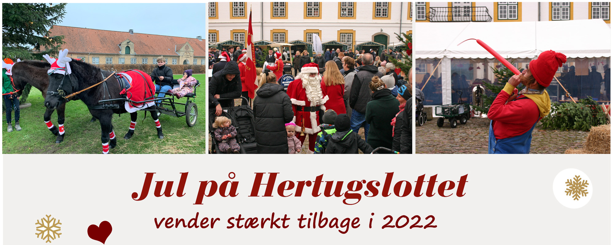Aflysning af JPH2021